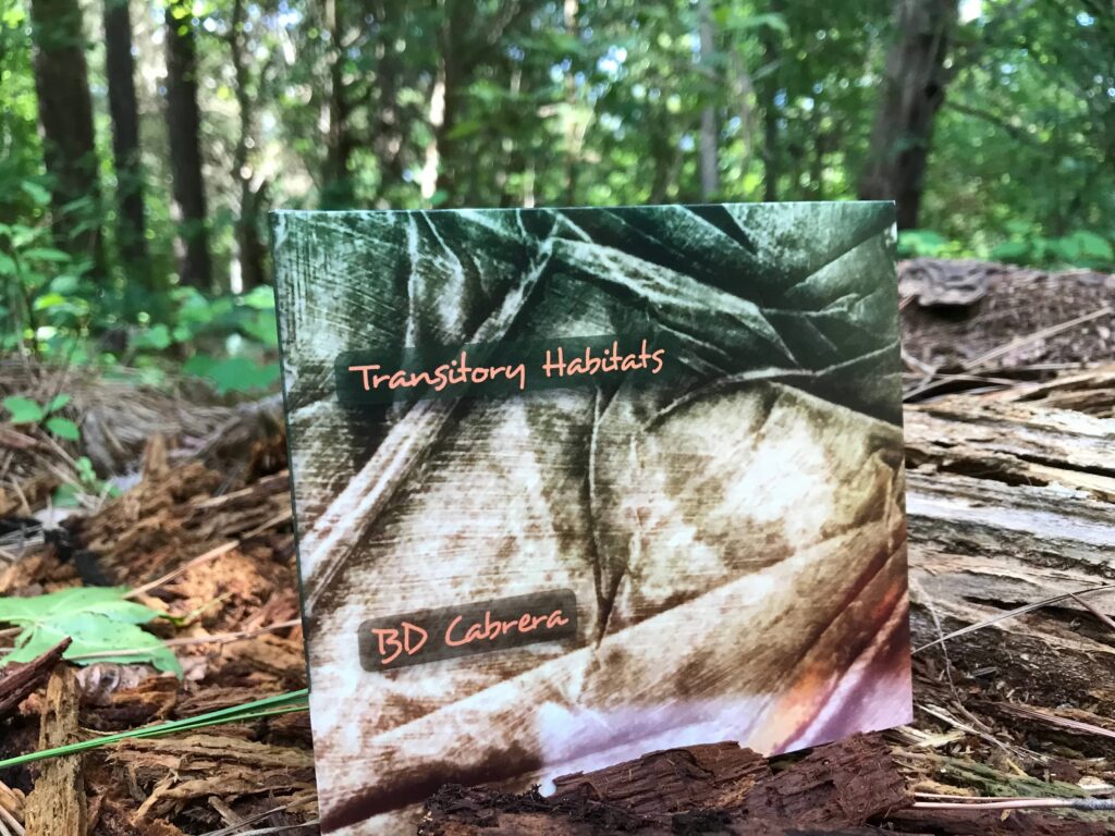 photo of album CD in a wooded environment